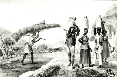 Mjölk- och Capimförsäljare, från "pittoresk och historisk resa till Brasilien"