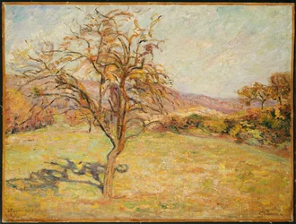 Landskap, 1890