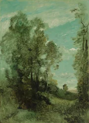 Trädlandskap (morgon)