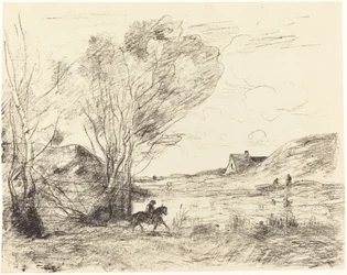 Ryttaren i vassen