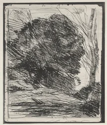 Träd på berget, originaltryck 1856, tryckt 1921.