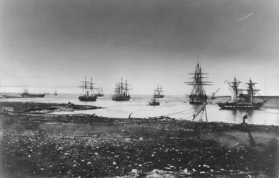 Krimkriget, fransk eskader, infart i hamnen, 1855
