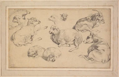Studieblad med får, getter och hundar, c. 1780.