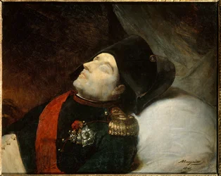Napoleon Irländare