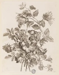 Tallrik från "The Book of All Kinds of Flowers from Nature"