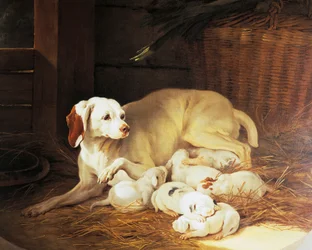 Tik ammande valpar, detalj från Lise et ses petits, av Jean-Baptiste Oudry (1686-1755), Frankrike