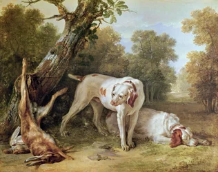 Hund och hare