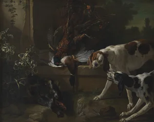Hundar med vildfågel och vilt