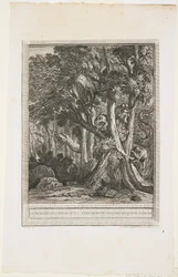 Draken med många huvuden, Fabel XII, ca 1753-1755