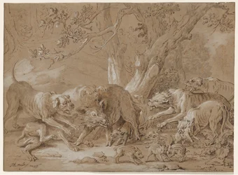 Vild sugga och hennes unga attackerade av hundar, 1748.
