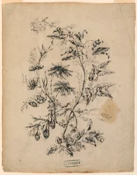 Teckning, gren av ett fantastiskt träd, 1775-1800