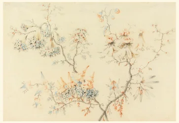 Teckning, blommande grenar, 1775-1800