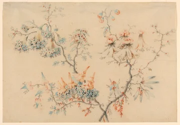 Teckning, blommande grenar, 1775-1800