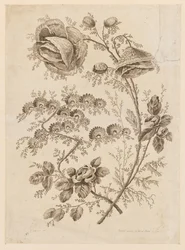 Flower Bough, från "Cahier de Fleurs Singuliers"