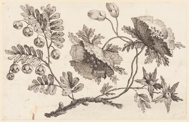 Flower Bough, från "Chinese Flower Collection"