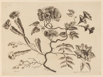 Flower Boughs, från "Samling av olika fantasiblommor i kinesisk smak"