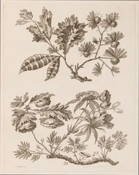 Flower Boughs, från "Samling av olika fantasiblommor i kinesisk smak"