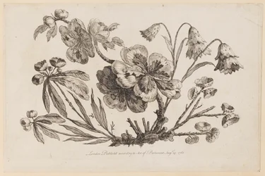 Flower Boughs, från "Collection of Chinese Flowers"