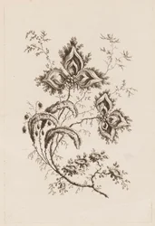 Flower Branch, från "Fleures Persannes"