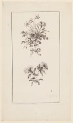 Flowers Boughs, från "Divers Bouquets d