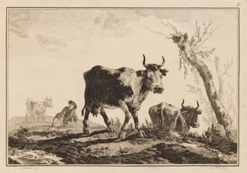 Plåt 5, "Anteckningsbok med sex ark oxar och kor"