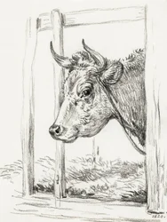 En kos huvud (1820)