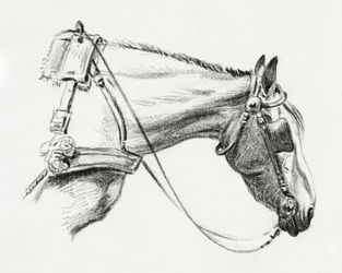 Hästhuvud (1820)