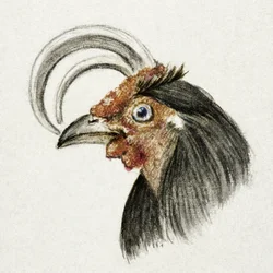 En tupphuvud (1816)