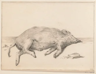 Liggande gris, till höger