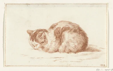 Liggande katt, till vänster