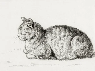 Den liggande katten (1811)