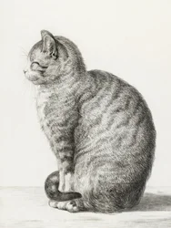 Sittande katt (1815)