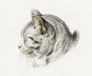 Skiss av en katt (1813)