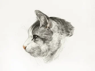 Skiss av en katt (1819) av Jean Bernard (1775–1883)