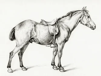 Stående häst av Jean Bernard (1775–1883)