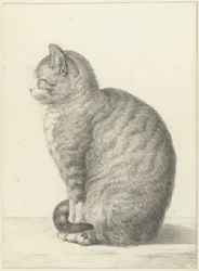 Sittande katt, till vänster