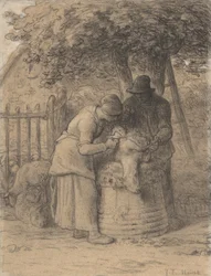 Sheepshearing Beneath a Tree, c.1854 (conté krita med penna och brunt bläck och gouache på papper)