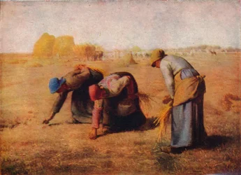Axplockerskorna, 1857, 1911