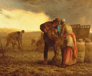 Potatisskörden, 1855