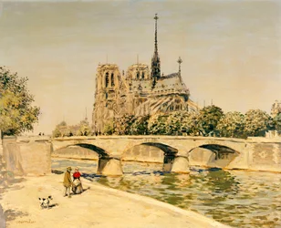 Notre Dame och Seine