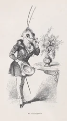 En gammal fjäril från scener ur djurens privata och offentliga liv, ca. 1837-47.