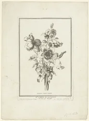 Bukett av anemon och bindweed Anemones simples, Volubilis (titel på objekt) IIe Cahier de Bouquets (serietitel)