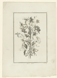 Bukett av påsklilja och bindweed Narcissus, Volubilis (titel på objekt) IIe Cahier de Bouquets (serietitel)