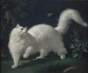 Angora Cat som jagar en fjäril, c. 1760 (olja på duk)