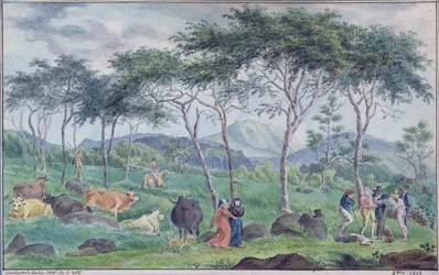 Boskapsbesättning med koherdar nära floden öster om Ile de la Reunion, oktober 1812