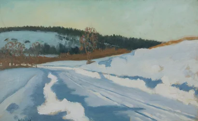 Snö I Solsken