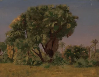 Studie av palmer, troligen 1868.