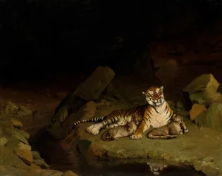 Tiger och ungar, ca. 1884.