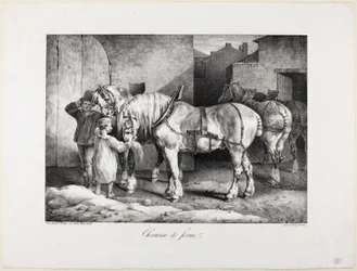 Lantbrukshästar