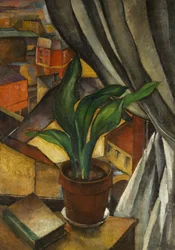 The Aspidistra, ca 1912 (olja på duk)